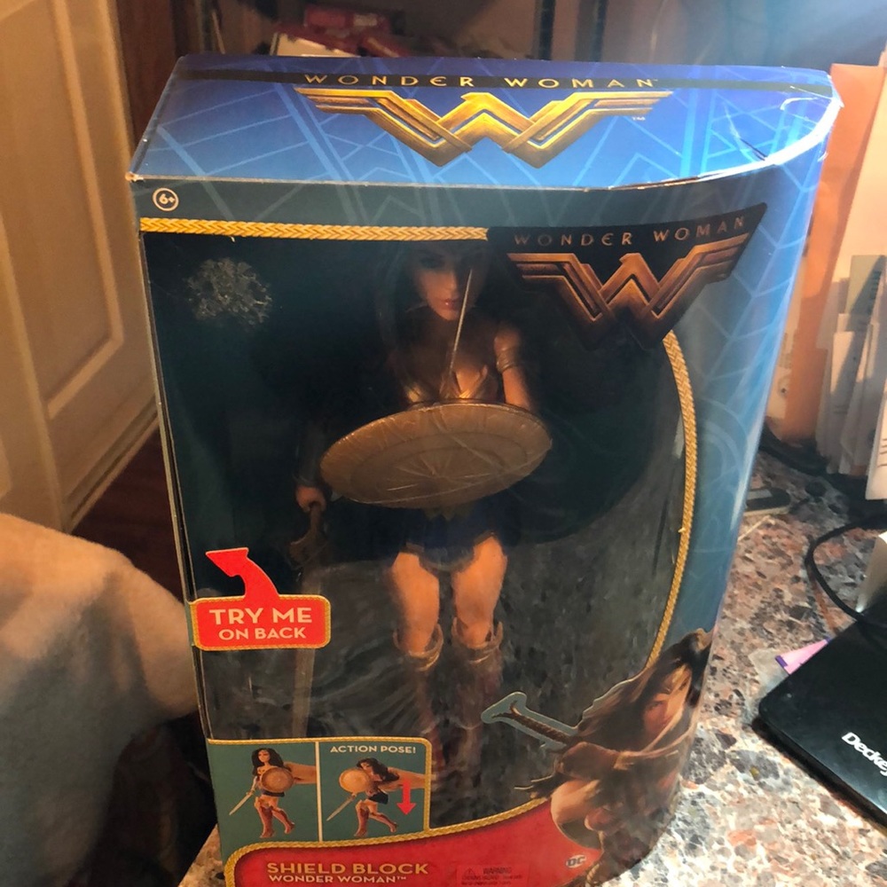 2016 Mattel DC Shield Block Wonder Women 12” Doll.